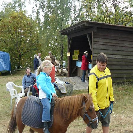 Holiday Home In Wietzendorf In The L Neburg Heath With A View Of The Countryside Экстерьер фото