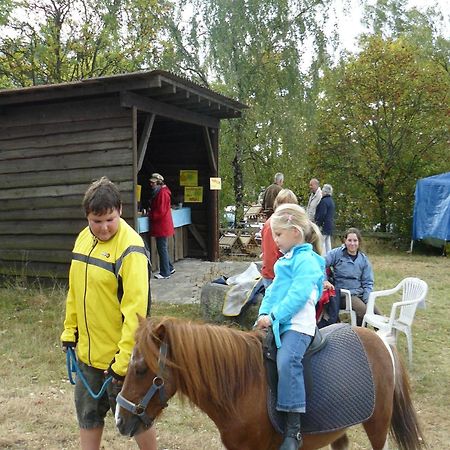 Holiday Home In Wietzendorf In The L Neburg Heath With A View Of The Countryside Экстерьер фото